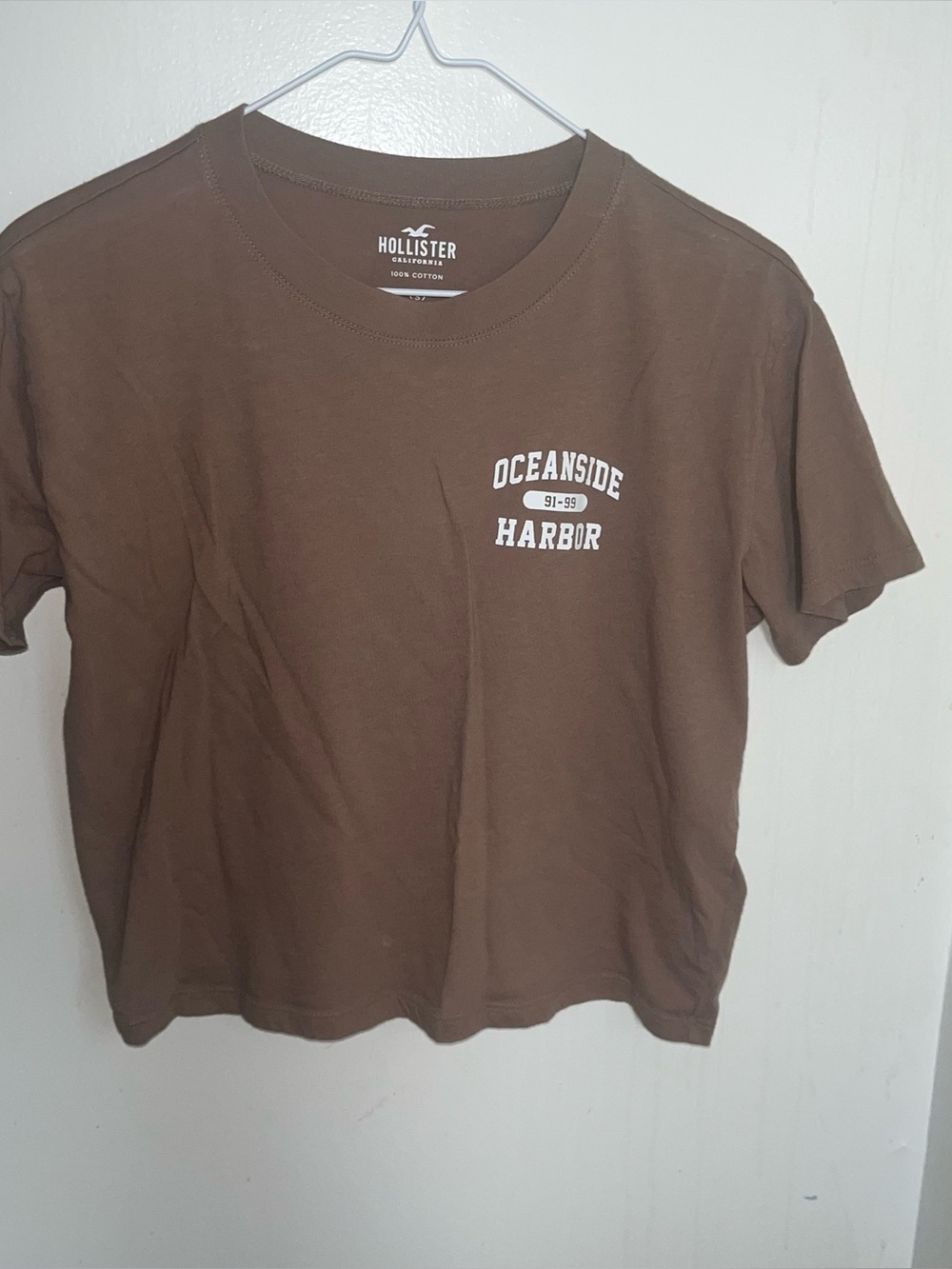 Hollister Brown Graphic T-Shirt Size S